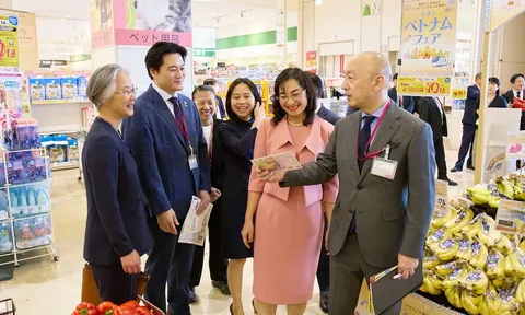 DẤU ẤN 10 NĂM TUẦN HÀNG VIỆT NAM TẠI AEON NHẬT BẢN: THÚC ĐẨY TIÊU DÙNG HÀNG VIỆT VÀ GIAO LƯU VĂN HÓA VIỆT - NHẬT