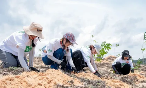 Fast Retailing và nỗ lực bảo vệ môi trường