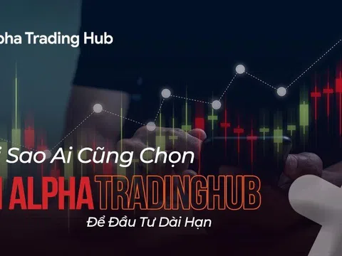 Tại Sao Ai Cũng Chọn Sàn Alpha Trading Hub Để Đầu Tư Dài Hạn?