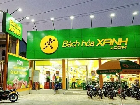 Công ty Lâm Đạo bán giá đỗ “ngâm hoá chất” vào Bách Hoá Xanh từ bao giờ?