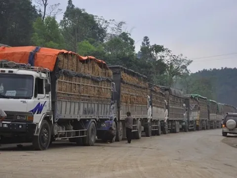 Ách tắc 300.000 tấn nông sản ở cửa khẩu: Bộ Nông nghiệp và Môi trường lên tiếng 0