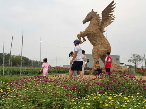 Độc đáo linh vật ngựa khổng lồ bằng rơm ở Tây Ninh