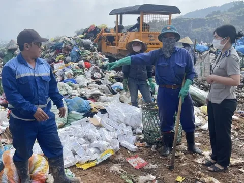 Đà Nẵng tiêu hủy 6.500 bao thuốc lá nhập lậu