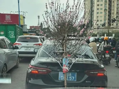 Xử phạt tài xế xe biển xanh chở cành đào che lấp biển số