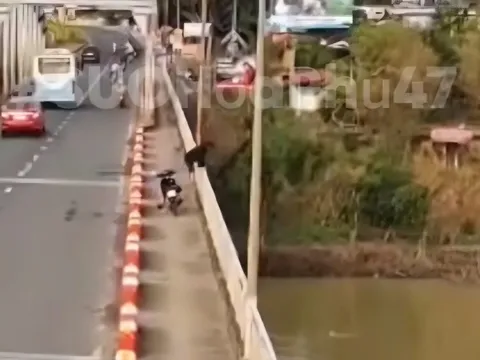 CLIP: Camera ghi lại cảnh nam thanh niên nhảy sông mất tích