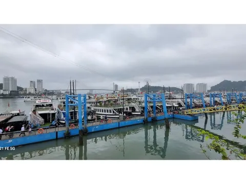 Sau sự cố cháy tàu, Quảng Ninh yêu cầu rà soát toàn bộ điều kiện an toàn tàu du lịch