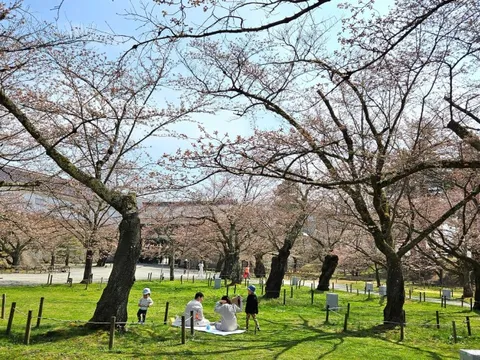 Con số bất ngờ về người Việt đi du lịch Nhật Bản