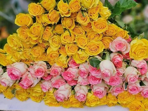 Giá hoa hồng 8/3 tăng kỷ lục: Khách bất ngờ, tiểu thương TP.HCM lo ế