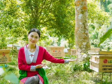 Những bóng hồng kiến tạo tương lai: "Linh Bản Thổ" với mô hình sinh kế bền vững