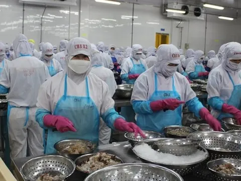 Xuất khẩu nông, lâm, thủy sản có thể giảm hàng tỉ USD vì xung đột ở Trung Đông