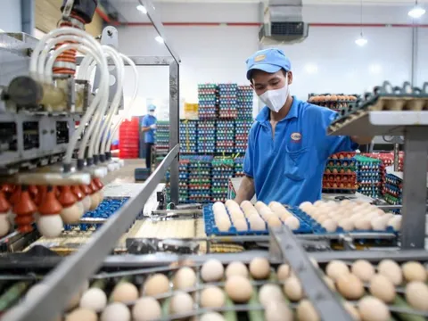 Nỗ lực giữ giá hàng hóa