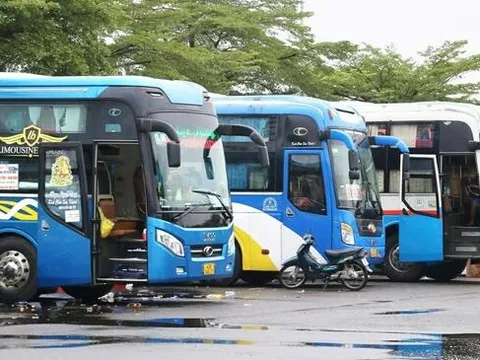 Sống chung với giá xăng dầu 'phi mã', doanh nghiệp vận tải gồng mình thích ứng