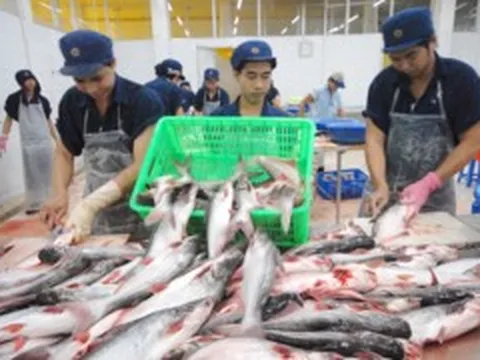 Giá cước tăng cao, lúa gạo, thủy sản, phân bón cùng gặp khó