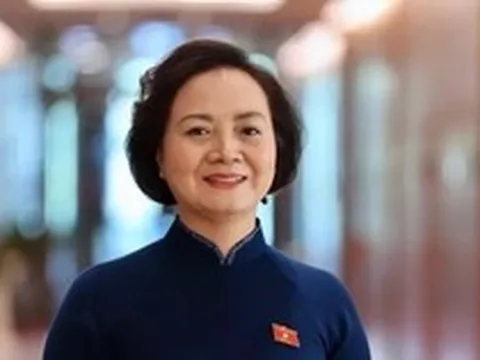 Phó Thủ tướng, Bộ trưởng và các thứ trưởng trúng cử đại biểu Quốc hội khóa XVI