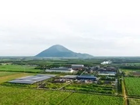 Công ty hạt nhân Tập đoàn TTC đăng ký bán ra hơn 43 triệu cổ phiếu SBT