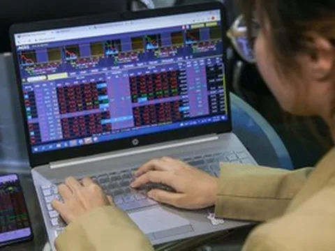 Chuyên gia nêu lý do chứng khoán thủng 1.600 điểm nhưng nhiều cổ phiếu vẫn tăng trần?