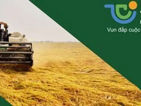 TCO Holdings muốn đầu tư vào Pacific Lines