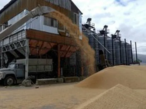 Sau Trung Quốc, đến lượt Nga siết xuất khẩu mặt hàng nuôi sống thế giới, làm rung chuyển thị trường lương thực toàn cầu