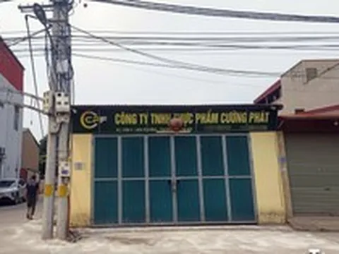 Chân dung công ty đưa thịt lợn bệnh vào nhiều trường học tại Hà Nội