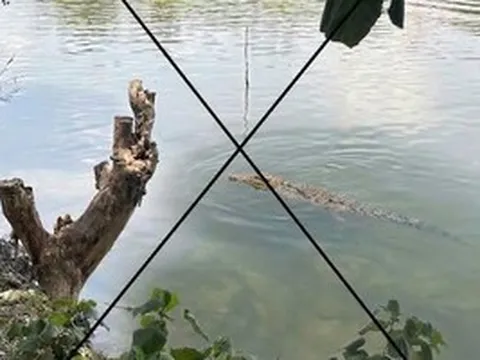 Thông tin lan truyền “cá sấu xuất hiện trên sông Chắc Băng”: Tạo ảnh bằng AI để mẹ dọa em gái!