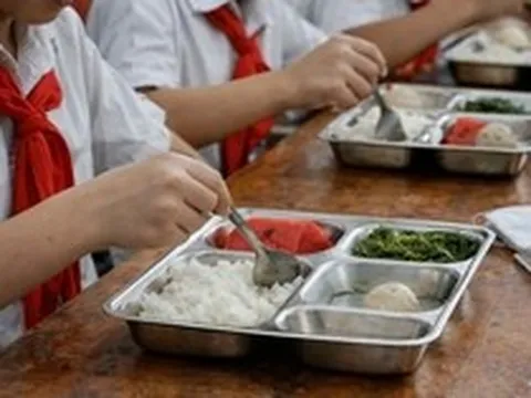 Hơn 2.900 trường học tại Hà Nội phải rà soát nhà cung cấp thực phẩm sau chấn động 300 tấn lợn bệnh len lỏi vào bếp ăn