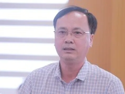 Vụ 300 tấn thịt lợn bệnh: Cần tăng giám sát ngay tại cơ sở chăn nuôi