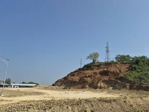 Vụ “cạo sạch cả quả đồi” ở Khánh Hòa: Xác minh có hay không việc bao che, tiếp tay