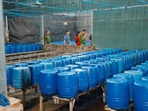 Sản xuất 510 tấn giá đỗ bằng chất độc 6-Benzylaminopurine bán cho người dân