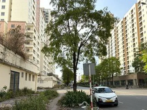 Rà soát quỹ nhà tái định cư sau chỉ đạo của Bí thư Thành ủy TPHCM