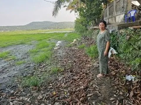 Ruộng đồng bỏ hoang vì nhiễm mặn