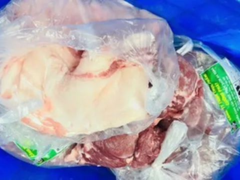 Công ty chế biến, nhà trường có "vô can" khi để thịt heo nhiễm bệnh vào trường học?