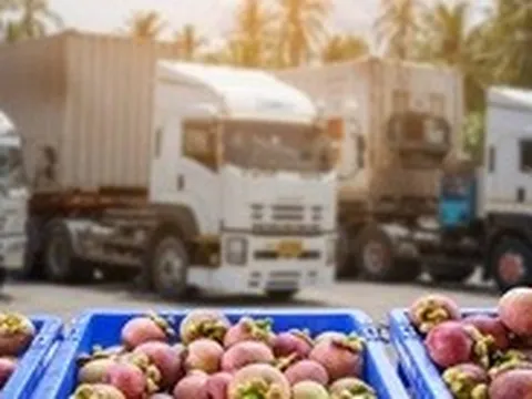 Tiếp tục tạm ngưng áp dụng Nghị định 46 về an toàn thực phẩm