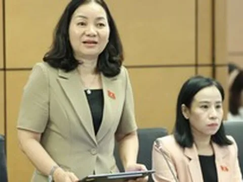 Đại biểu nêu bất cập khi dịch vụ công số "khai online vẫn phải nộp bản giấy"