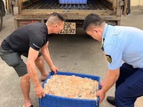 Hơn nửa tấn lòng lợn bốc mùi hôi thối suýt bị tuồn vào thị trường