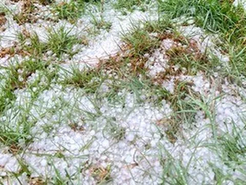 Mưa đá gây hại nặng nề, Phó Chủ tịch UBND tỉnh Quảng Ngãi tới hiện trường kiểm tra