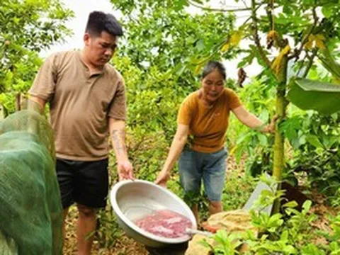 Tìm ra nguyên nhân vụ nước giếng khoan đổi màu tím bất thường