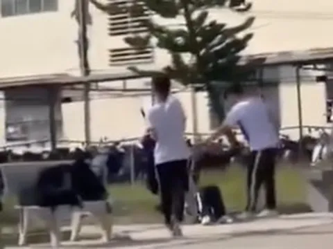 Vụ nữ sinh lớp 10 bị “đánh hội đồng” ở Gia Lai: Sự thật ra sao?