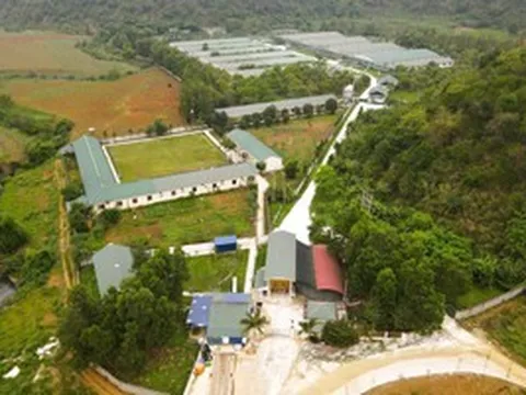 Thông tin mới liên quan vụ nước giếng khoan nhà dân đổi màu tím, bốc mùi hôi thối