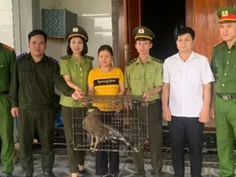 Hà Tĩnh: Người dân giao nộp hai cá thể động vật nguy cấp, quý hiếm
