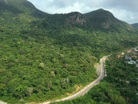 Vụ 42 cây mai vàng: Chỉ đạo mới nhất từ Vườn quốc gia Côn Đảo