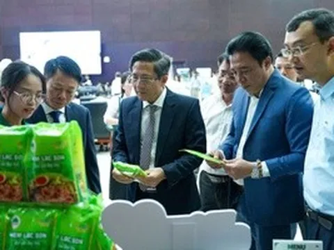 Đà Nẵng thúc đẩy chuyển đổi xanh, hướng tới đô thị sinh thái, thông minh