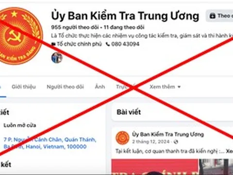 Mạo danh cơ quan nhà nước trên không gian mạng có thể bị xem xét xử lý hình sự