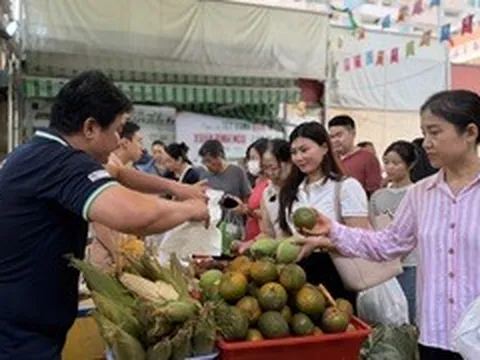 Nghỉ lễ, người dân TP.HCM đổ về Phiên chợ Xanh - Tử tế, săn nông sản sạch