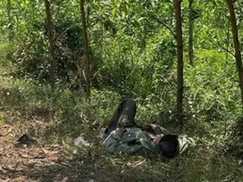 Cụ ông 79 tuổi mang "thỏi vàng" nằm lả bên vệ đường ở giữa rừng tràm