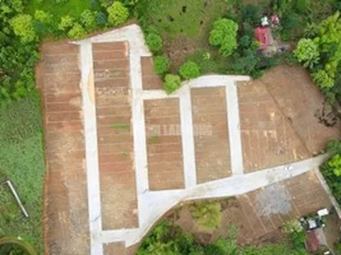 San gạt cả quả đồi, phân lô bán nền tại nhiều nơi ở Thanh Hóa?