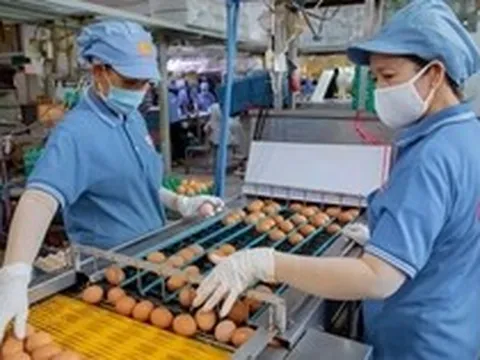 ‘Nghẹt thở’ vay vốn ngân hàng