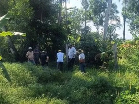Chó nghi dại cắn liên tiếp 5 người, chính quyền vào cuộc xử lý