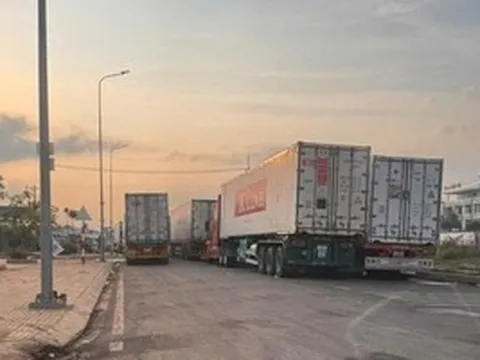 Chủ tịch Thành phố Đồng Nai chỉ đạo ‘nóng’ vụ ùn ứ hàng trăm xe container sầu riêng