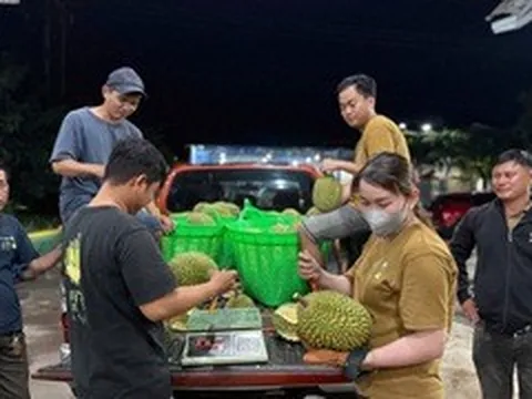 Giá sầu riêng lao dốc, xe ùn ứ chờ kiểm nghiệm: Điều gì đang xảy ra với 'vua' trái cây?