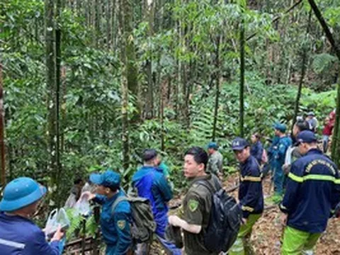 Huy động hơn 300 người tìm kiếm người đàn ông mất tích trong rừng sâu